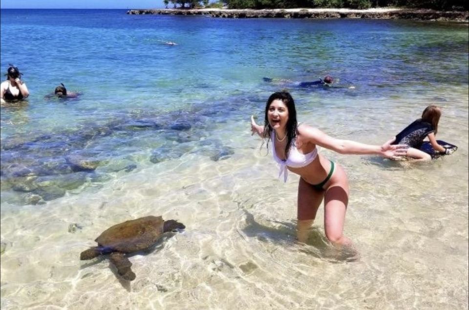 Circle Island: Swim with Turtles and Explore Paradise Oahu - Diamond Head Lookout and Halona Blowhole: The View Stops You’ll Actually Feel