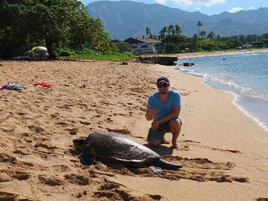 Circle Island: Swim with Turtles and Explore Paradise Oahu - Mokoliʻi and Kualoa’s Chinaman’s Hat: Oahu With a Side of Movie Magic