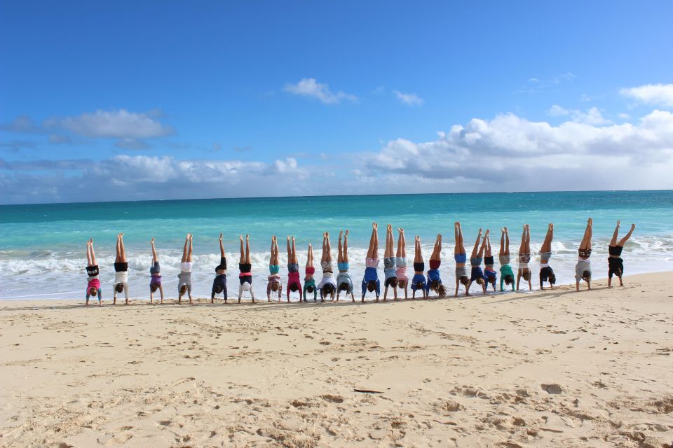 Circle Island: Swim with Turtles and Explore Paradise Oahu - Turtle Town Snorkeling: Honu Encounters You Can Actually Prepare For