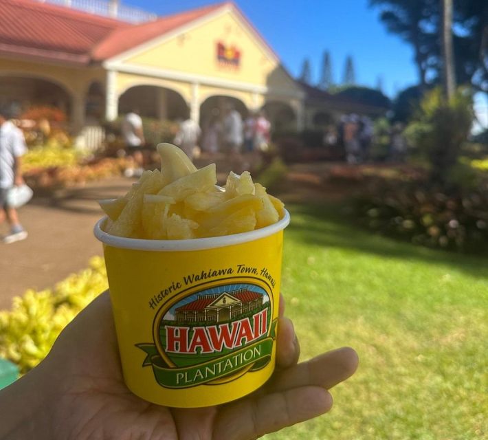 Circle Island: Swim with Turtles and Explore Paradise Oahu - Waikiki Pickup, Timing, and How the Day Really Starts