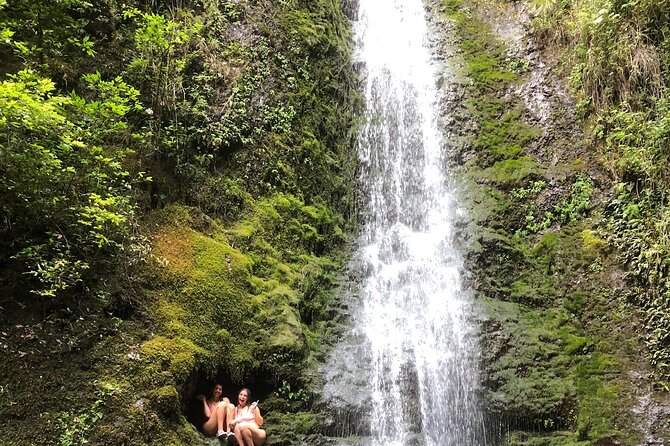 Circle Island tours - swim with turtles,Private & Small Group Tours - Haleiwa and the macadamia farm finish: a calmer end to a busy day