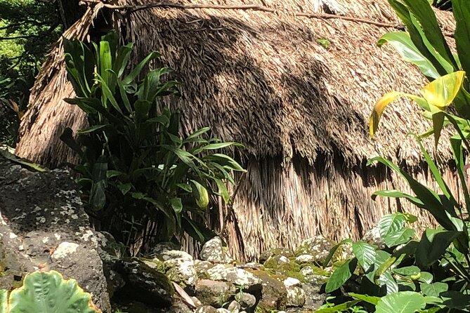 Circle Island tours - swim with turtles,Private & Small Group Tours - Price and value: is $150 fair for an 8-hour small-group day?
