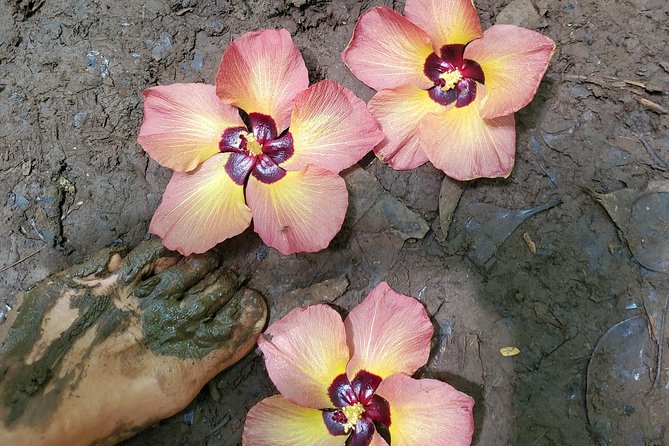 Custom Island Adventure Tours - Classic Oahu stops you can fold into the day