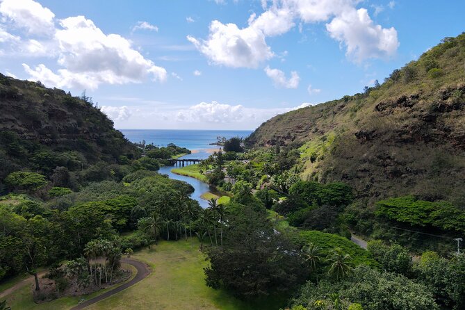 Customizable Private Tour Oahu- Ko Olina Resorts Pick Up Included - Makapuʻu Point: wide-open Pacific views and whale-season timing