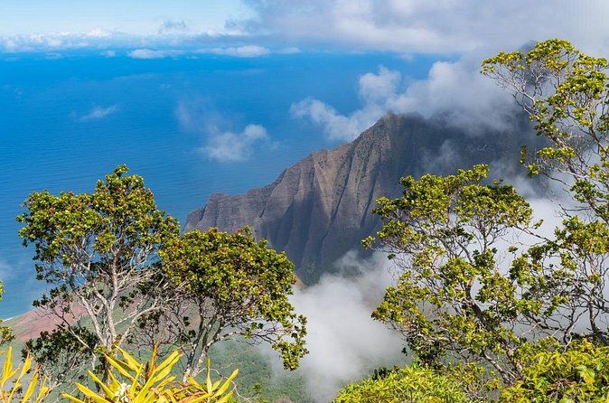 Day Trip from Oahu to Kauai: Highlights & Movie Sites - Opaekaa Falls: 151 feet, easy viewing, classic film tie-ins