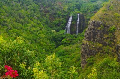 Day Trip from Oahu to Kauai: Waimea Canyon & Wailua River - Price and value: what $654.46 buys you