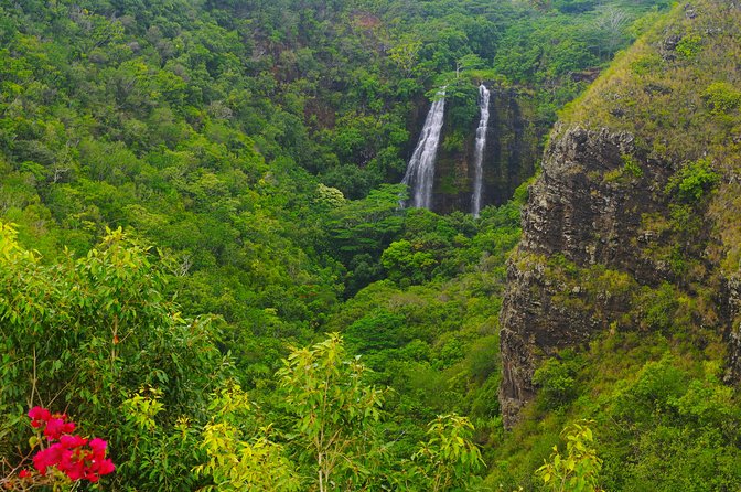 Day Trip from Oahu to Kauai: Waimea Canyon & Wailua River - Price and value: what $654.46 buys you