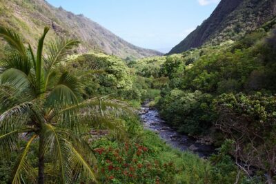 Day Trip Oahu to Maui: Sips, Sites and Bites - Haleakala’s rim and crater: the main event, plus what to expect at altitude