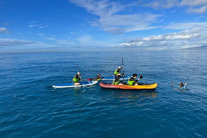 Deluxe Turtle Snorkeling Escapade at Waikiki - Wildlife Odds and Crew Help: How You Improve Your Chances