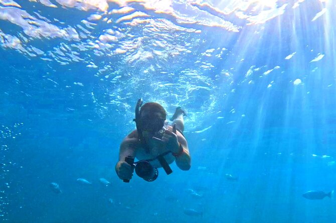 Deluxe Turtle Snorkeling Escapade at Waikiki - Getting There: Pickup Timing and the Pier D Check-In Reality