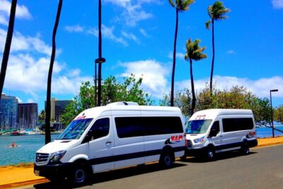 Departure Transfer: Airport Shuttle Honolulu and Waikiki or Cruise Terminal - From Waikiki and Cruise Terminal to HNL: Timing That Works