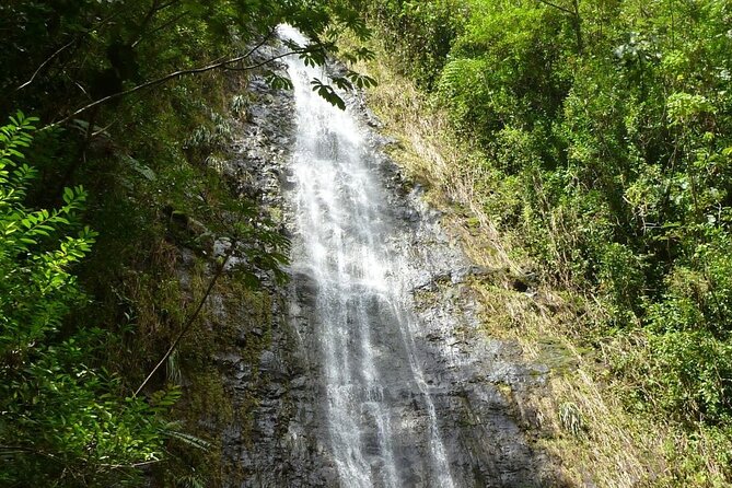 Diamond Head and Manoa Falls Hike and Adventure Tour - The 6 Hours 30 Minutes Plan: A Clear Pace You Can Manage
