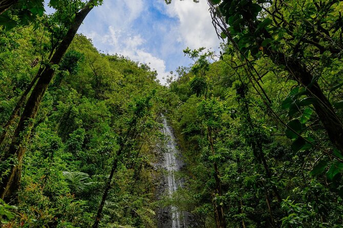 Diamond Head and Manoa Falls Hike and Adventure Tour - Diamond Head State Monument: Audio Help and View-First Hiking