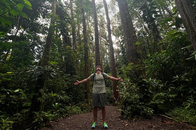 Diamond Head and Manoa Falls Hike and Adventure Tour - Manoa Falls Trail: The Short Jungle Walk That Feels Like a Reset