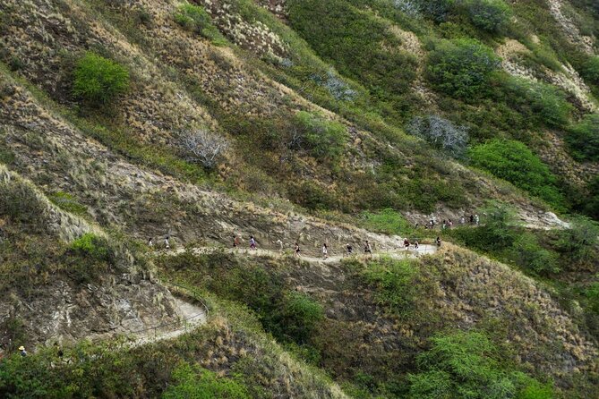 Diamond Head and Manoa Falls Hike and Adventure Tour - Price and Value: Why $149 per Group Might Be a Deal