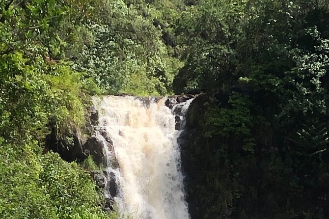 Diamond head crater trail , Sightseeing & South Side beach day - Should You Book This Diamond Head and South-East Beach Day?