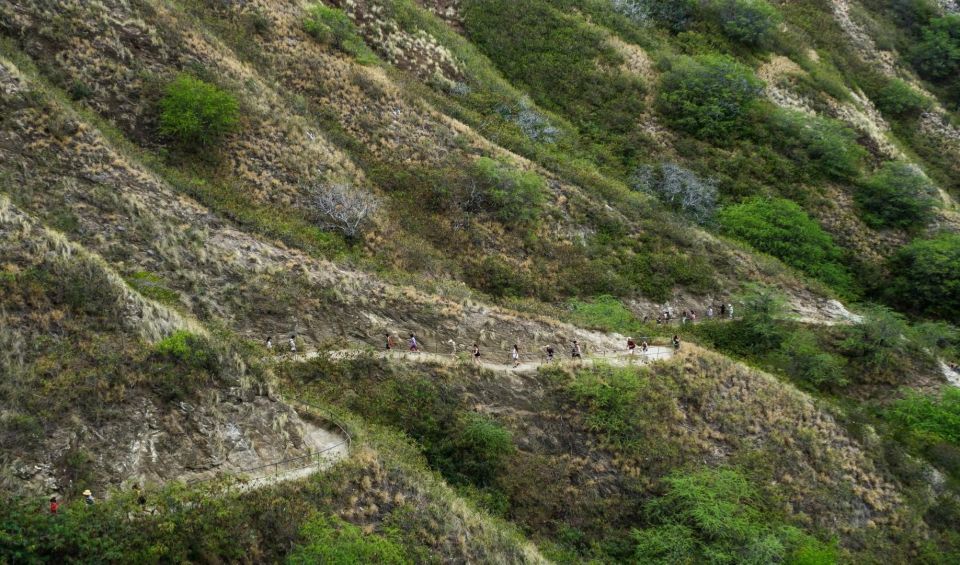 Diamond Head Manoa Falls - What You Need to Know Before You Go