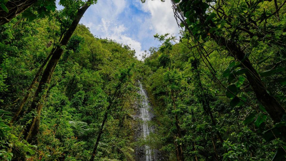 Diamond Head Manoa Falls - Diamond Head and Manoa Falls in One Private 6-Hour Plan