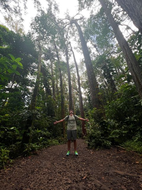Diamond Head Manoa Falls - Diamond Head Crater Hike: Big Views, Real Heat, Clear Expectations