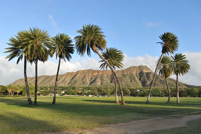 Diamond Head Shuttle with Malasada - Malasada Moment: Leonard’s Snack at the Right Time