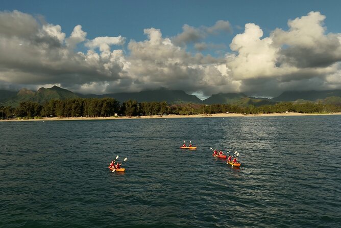 Discover Popoia Island and Kailua Bay by Kayak Guided Tour - At 134b Hamakua Dr: getting geared up without the hassle