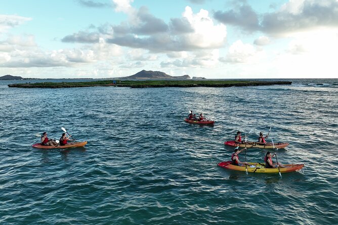 Discover Popoia Island and Kailua Bay by Kayak Guided Tour - Paddling Kailua Bay: the clear-water leg and the wildlife chances