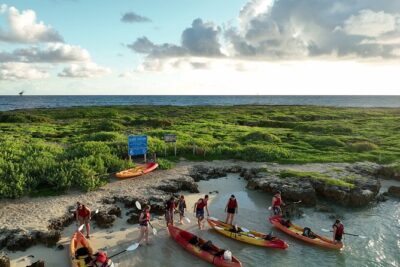 Discover Popoia Island and Kailua Bay by Kayak Guided Tour - Kailua Beach Park water meet: where the pace becomes real