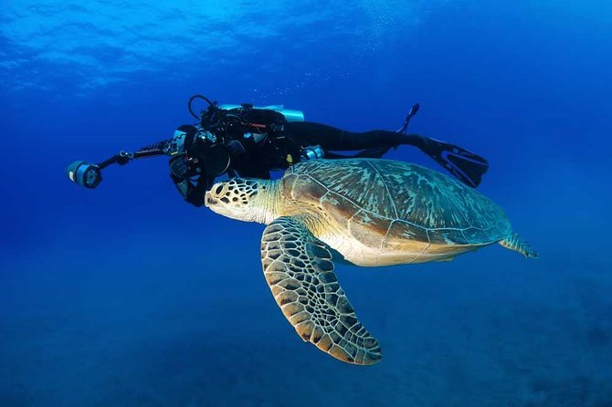 DISCOVER Scuba Diving Experience in Honolulu - Price and Value: Is $141.10 Worth It?