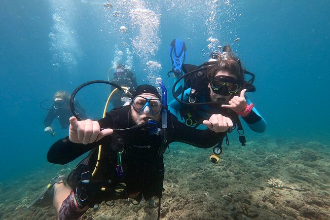 Discover Scuba Diving in Hawaii - Non certified divers! - What happens before you go under: safety and basics