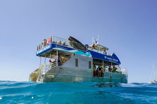 Dolphin Watch Cruise with Waterslide & Snorkeling on Oahu - Key highlights worth planning around