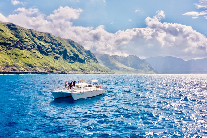 Dolphin Watching and Snorkeling on the West Coast of Oahu - Snorkeling After the Search: Easy Gear, Better Odds to Spot Turtles