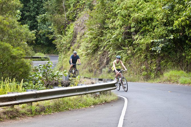 Downhill Bike and Ko'olau Waterfall Hike Tour - A Half-Day Above Waikiki: What This Combo Trip Really Feels Like