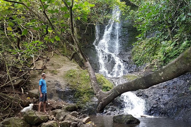 Downhill Bike and Ko'olau Waterfall Hike Tour - Helmets, Rain Gear, and the Mud Reality