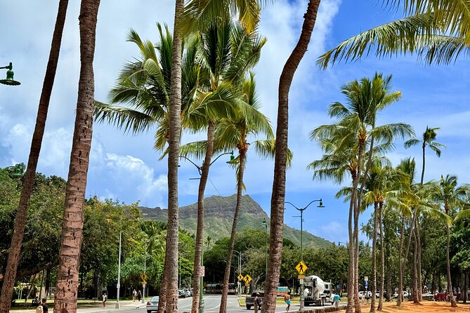 Downtown Honolulu Food Tour with 5 Local Favorites Tastings - Key highlights worth planning for