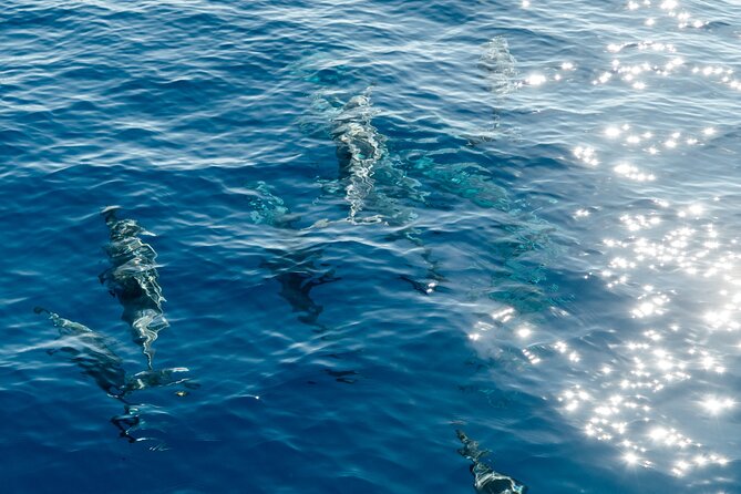 Exclusive Waikiki Yacht Snorkel with Lunch and Bevs - Lunch and Beverages: Real Food, Not Tour-Time Snacks