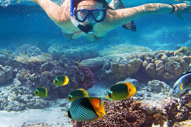 Explore Turtle Canyons Waikiki Snorkel and Sail Adventure - Meet at Ala Moana Pier: what your start feels like