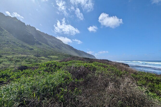 Famed North Shore Tour - Puaʻena Point Beach Park: Turtle Naps And Snorkel Conditions on Calm Days