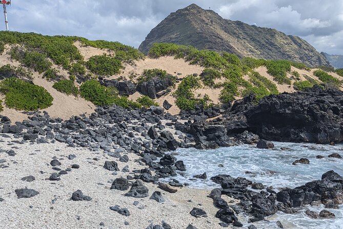 Famed North Shore Tour - Waimea Bay: Eddie Big-Wave Surf And Cliff Jumping in Summer