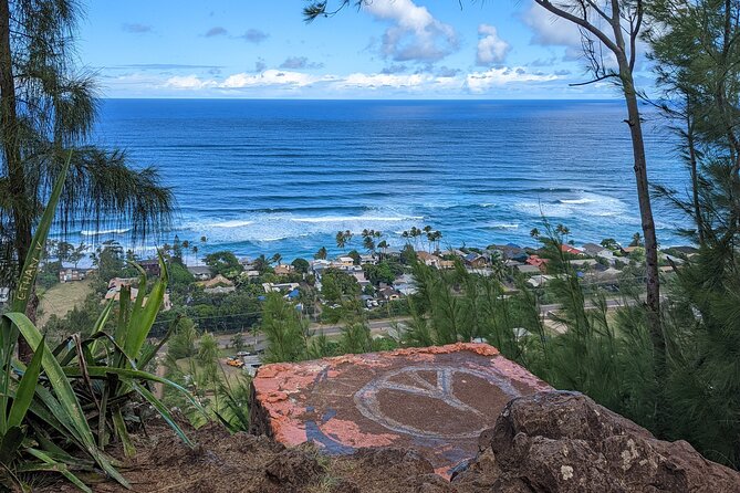 Famed North Shore Tour - Ka’ena Point State Park: Remote Views, Tide Pools, And Wildlife From Shore