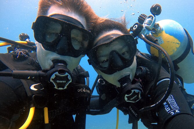First Time Introductory Scuba Dive - First-Time Setup in Honolulu: Gear, Check-In, and the 11:00 am Start