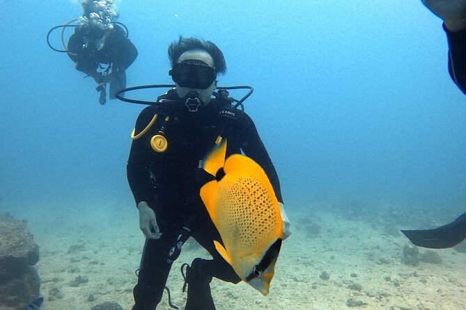 First Time Introductory Scuba Dive - What Your $279 Ticket Really Covers (And Why It’s Good Value)