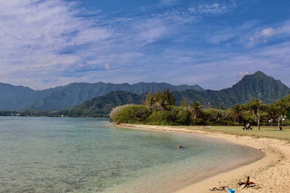From Honolulu: Epic Island Tour - Halona Blowhole: when the ocean does the work
