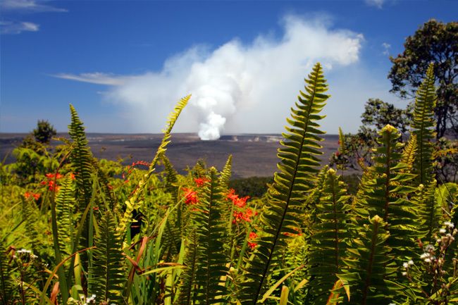 From Oahu: Big Island Volcano Adventure - Price and value: is $575 per person worth it?