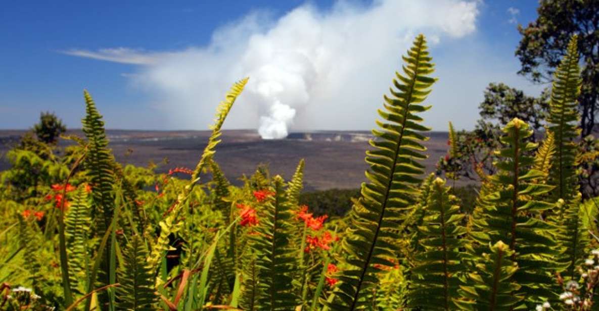 From Oahu: Big Island Volcano Adventure - Hawai‘i Volcanoes National Park: Halema‘uma‘u Crater and steam vents