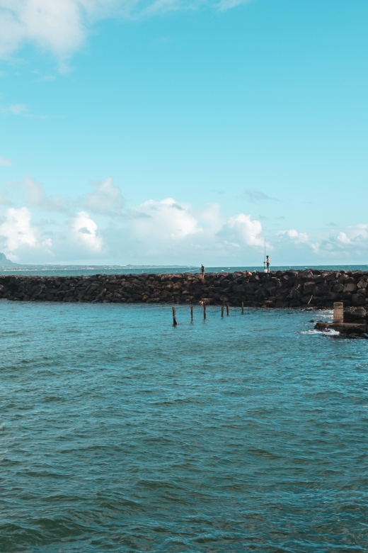 From Oahu: Kauai Highlights & Movie Sites - Key highlights that make this tour worth your time