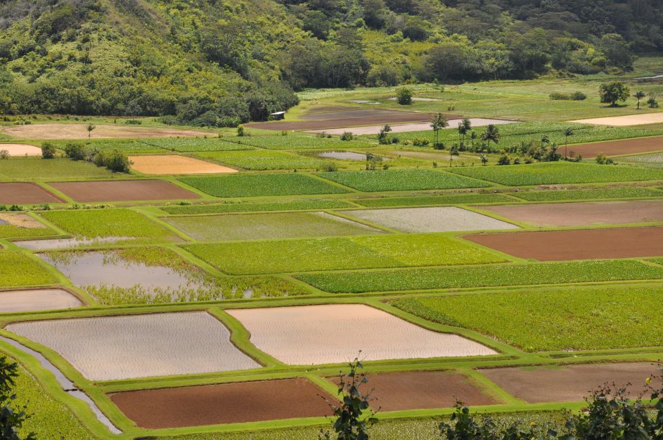 From Oahu: Kauai Highlights & Movie Sites - Hanalei Town lunch break plus Lydgate Chocolate