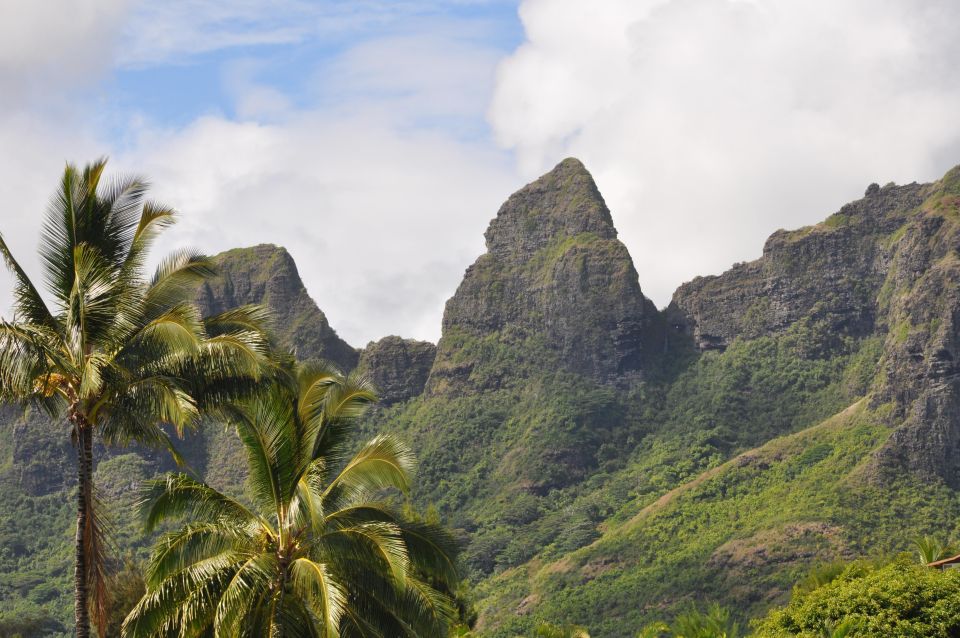 From Oahu: Kauai Highlights & Movie Sites - ‘Opaeka‘a Falls: the 151-foot curtain of water