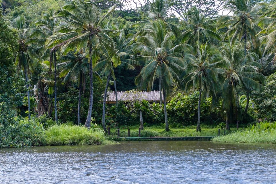 From Oahu: Kauai Waimea Canyon & Wailua River Tour - Kauaʻi Coffee Company and Short Stops: Quick Hits That Add Flavor to the Day