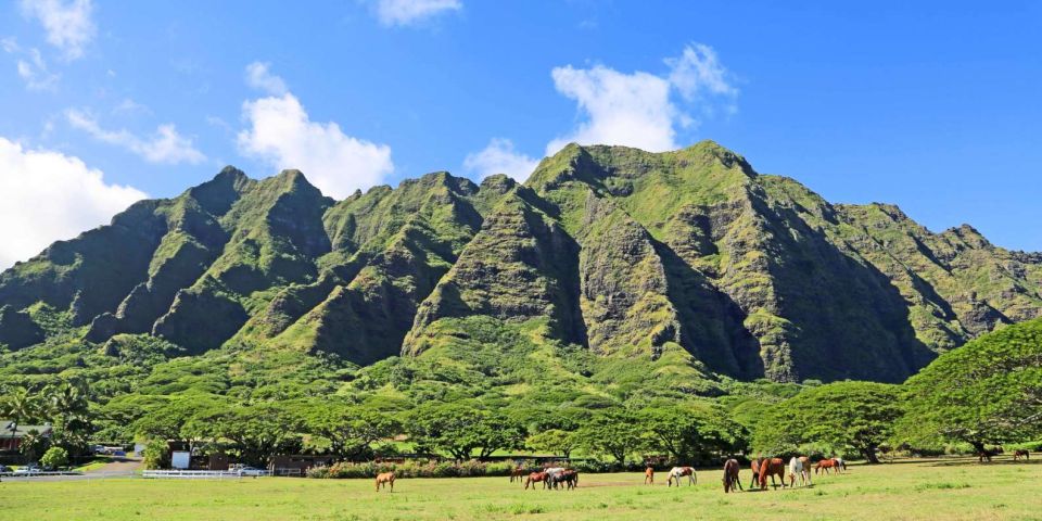From Waikiki: Circle Island Tour - Surf Stops That Feel Like a Front-Row Show: Banzai Pipeline and Sharks Cove