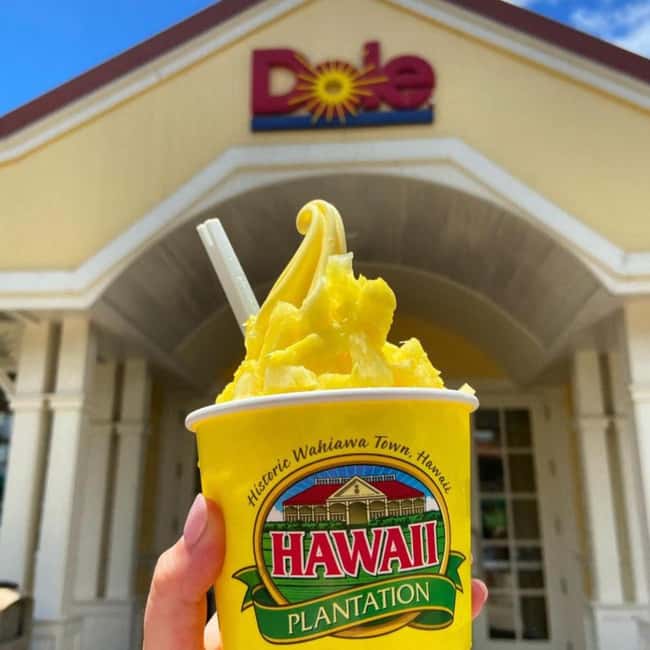 From Waikiki: Oahu Circle Island Tour - Why this Waikiki circle island day is such a smart use of time